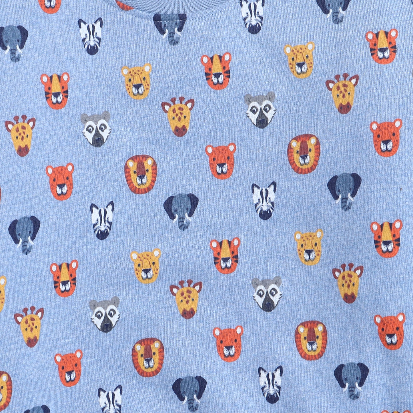 Unisex Kids Sweatshirt – Sky Blue with Cute Animal Faces Print