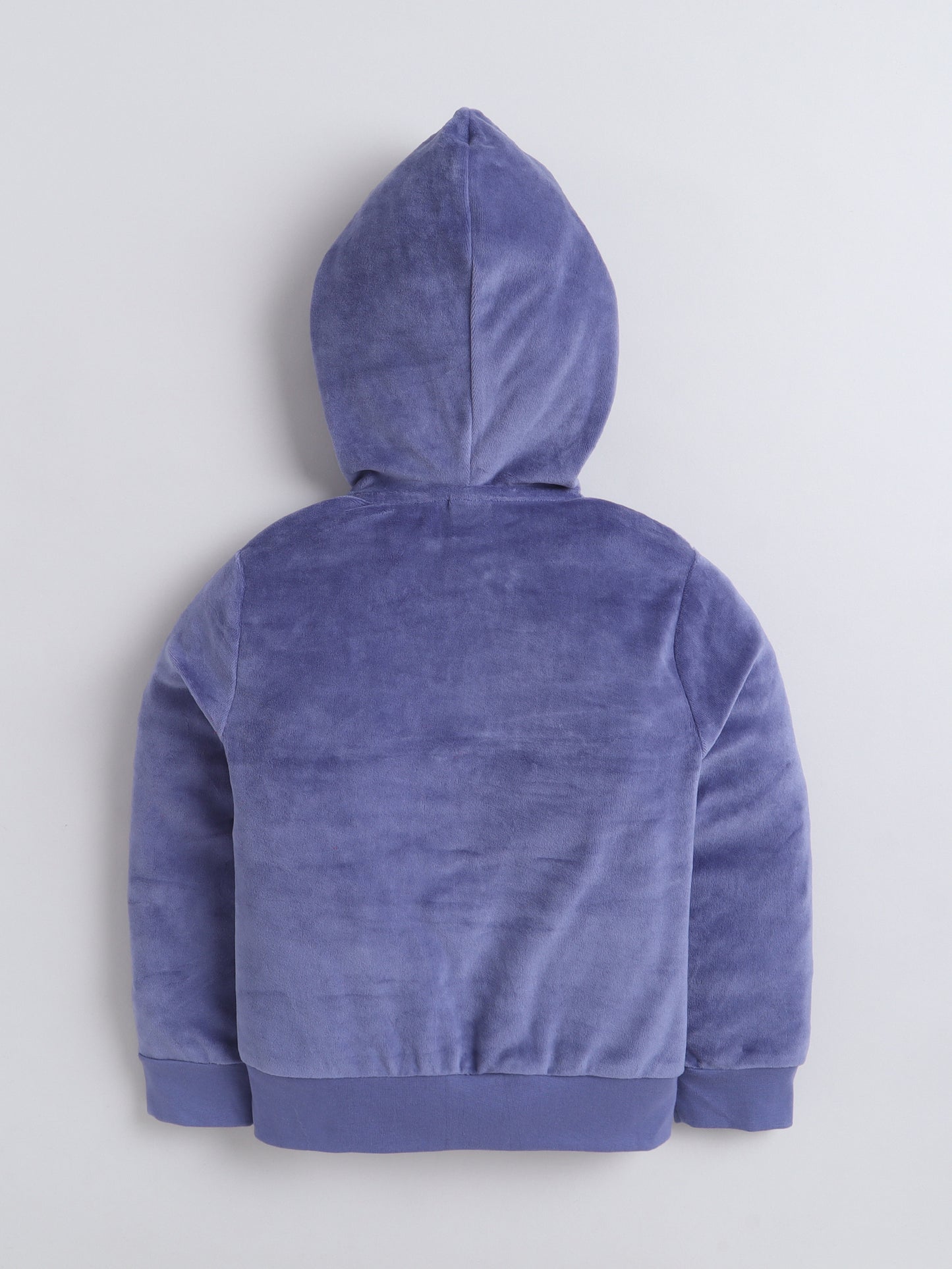 Unisex Printed Winter Hoodie - Blue Cat & Dog