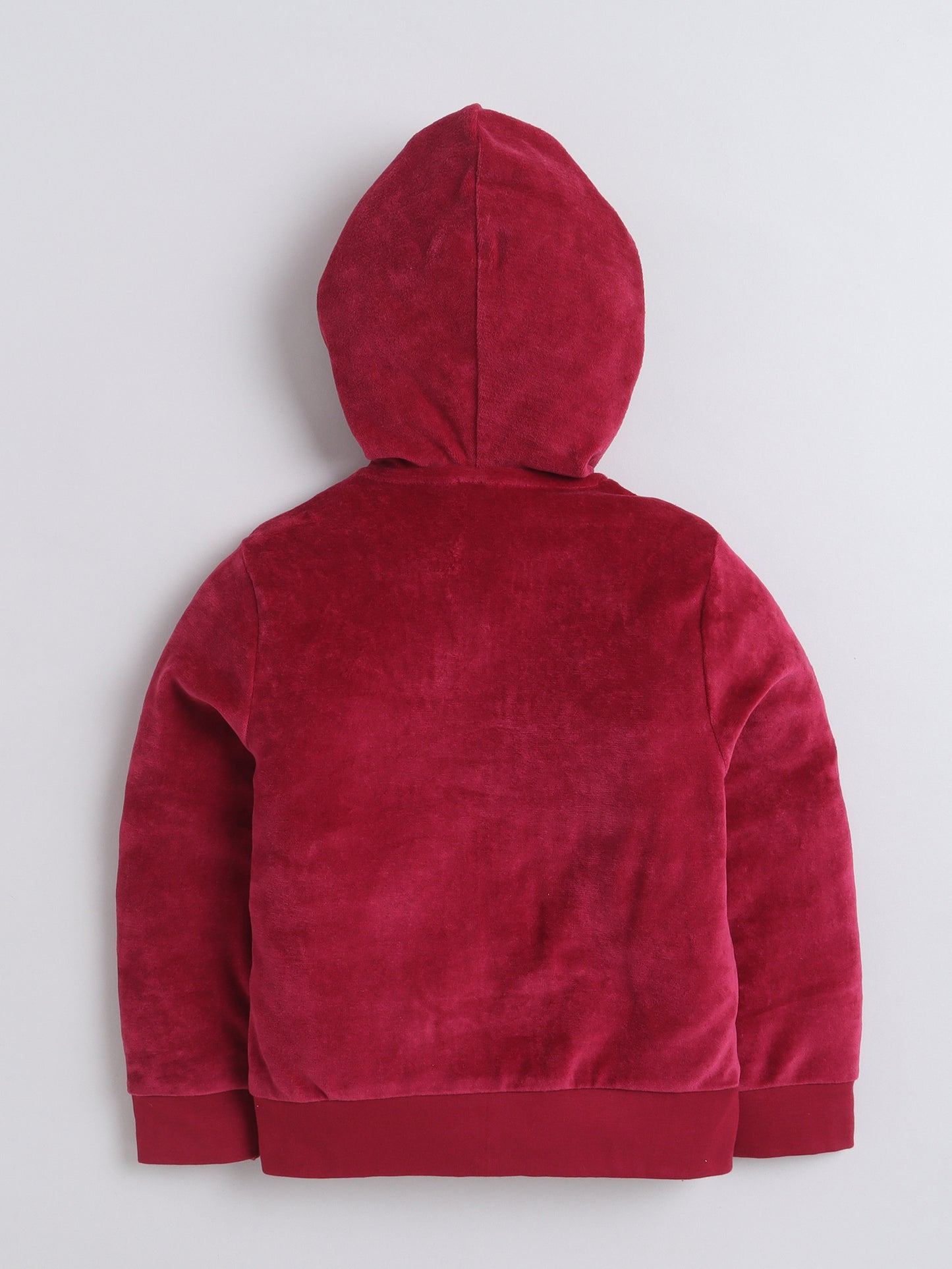 Unisex Printed Winter Hoodie - Maroon Dino Badge