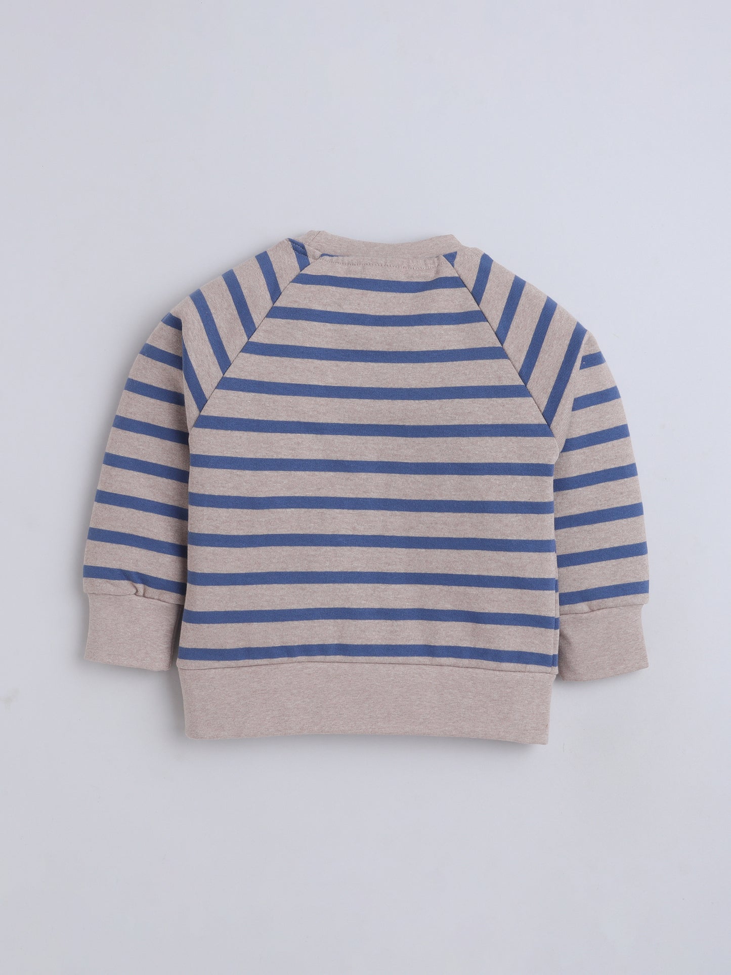 Unisex Kids Animal Print Sweatshirt – Blue & Grey Stripes