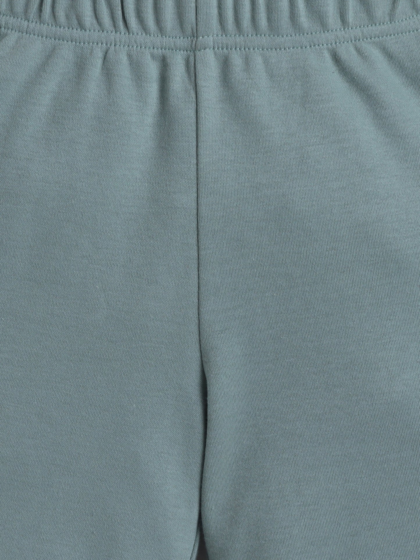 Unisex Solid Shorts - Matte Green