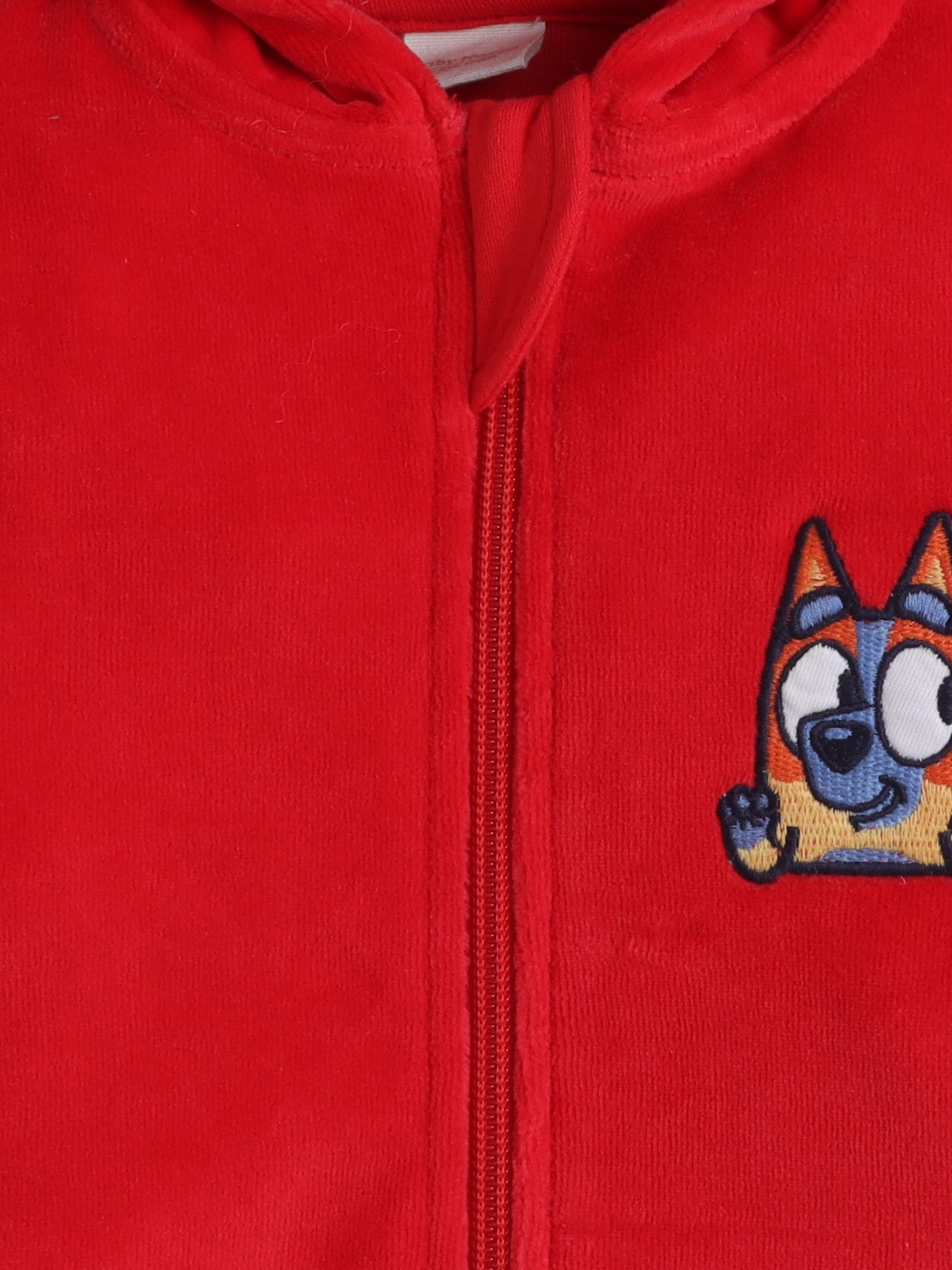 Unisex Printed Winter Hoodie – Orange Dog